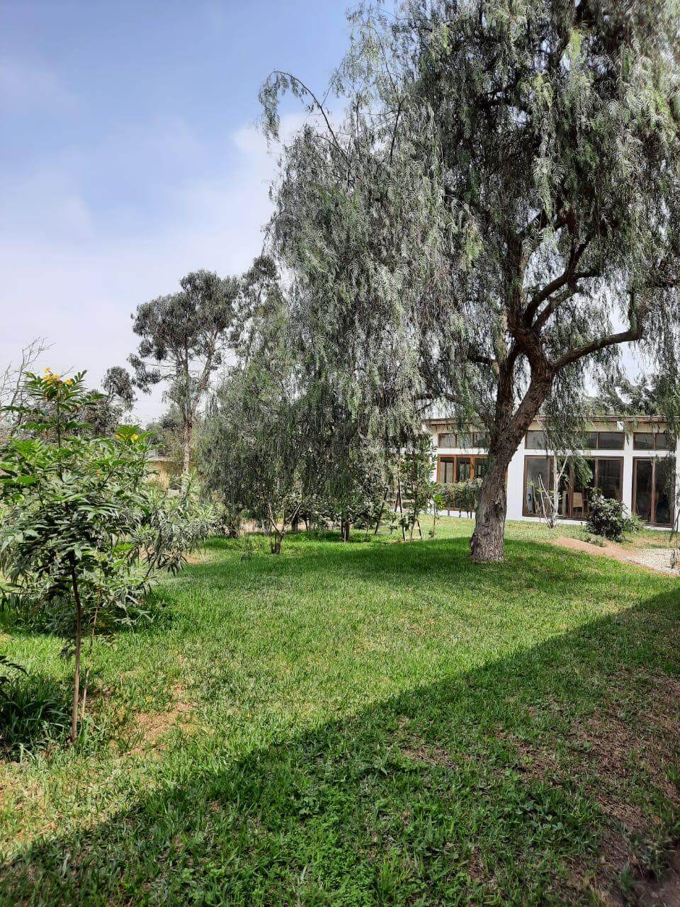 VENTA TERRENO EN PACHACAMAC – LIMA