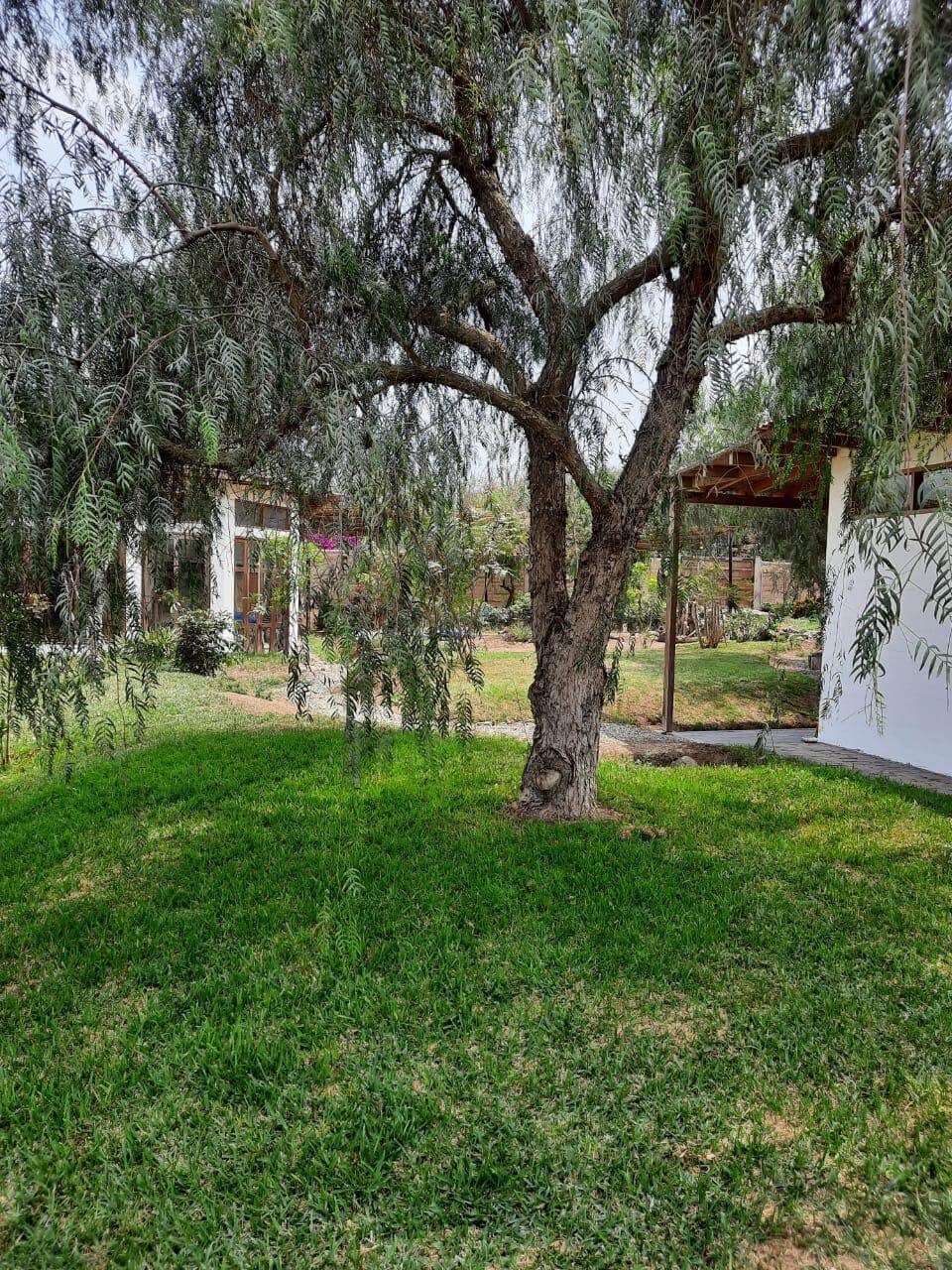 VENTA TERRENO EN PACHACAMAC – LIMA